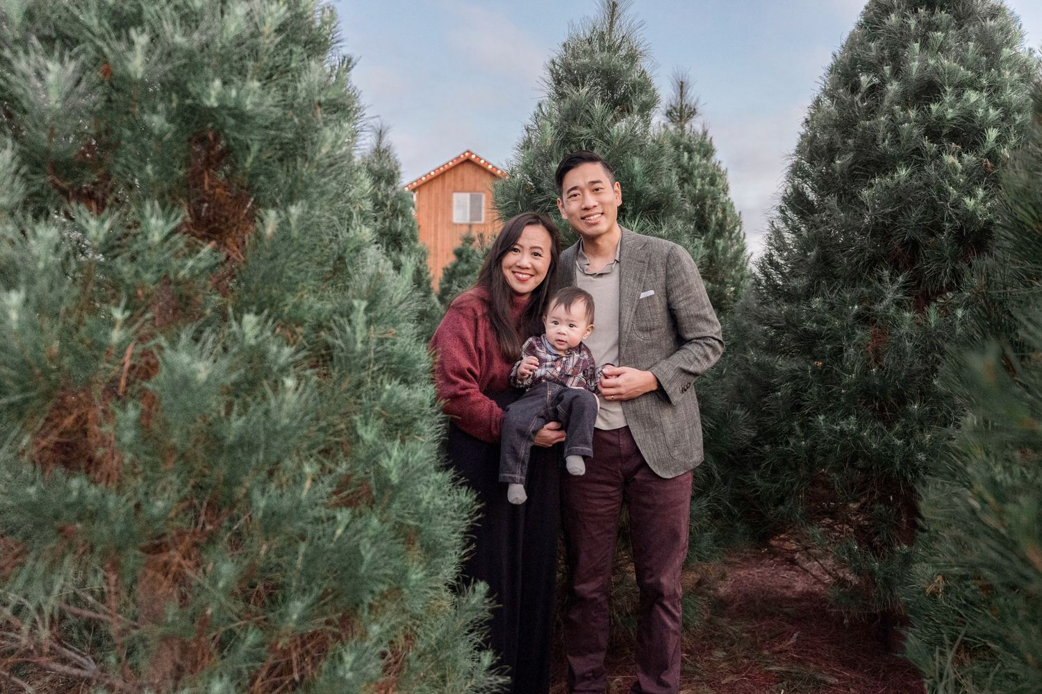 A young Asian family with a baby poses happily among lush green Christmas trees at a festive tree farm.