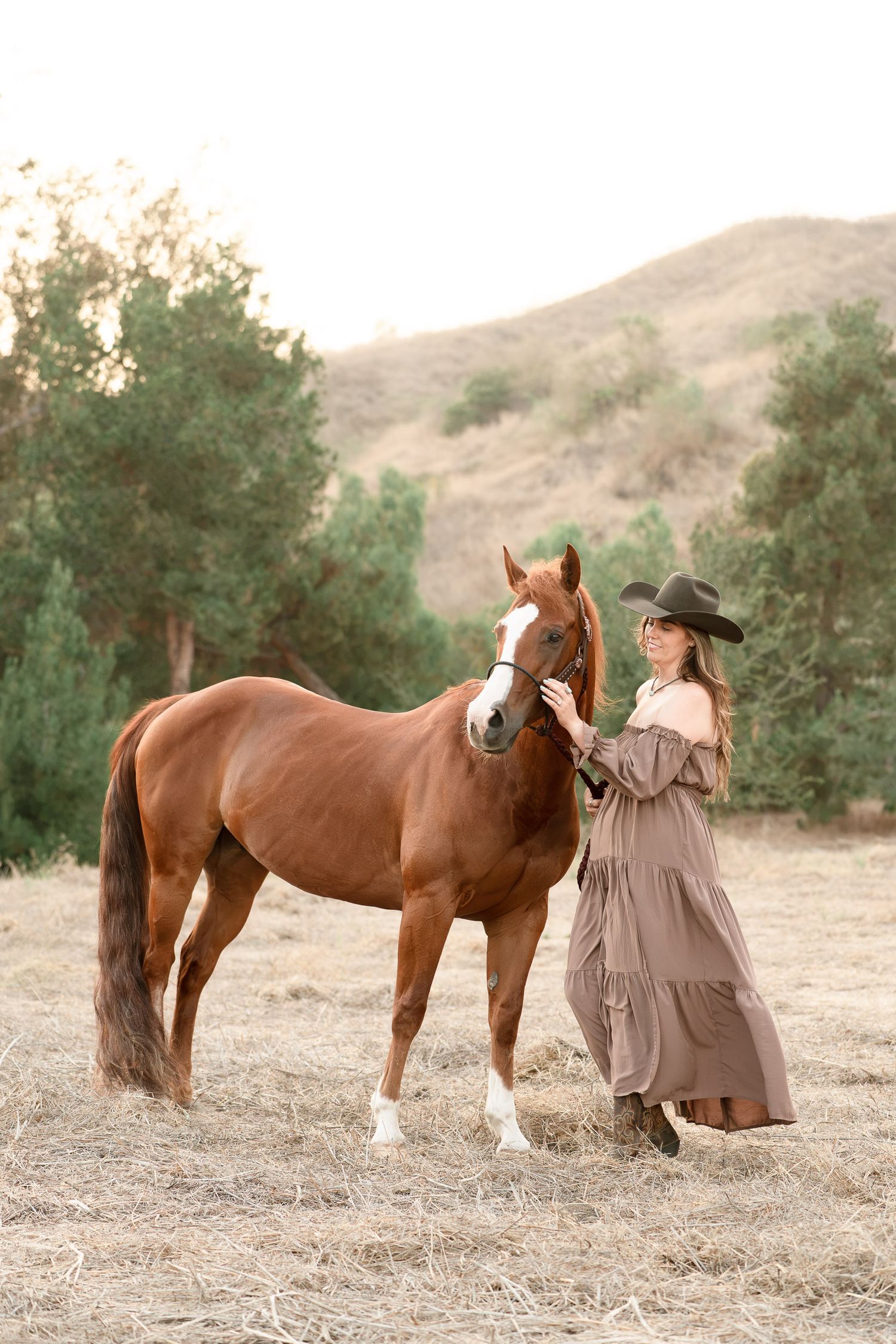 Woman in brown dress and hat stands beside a chestnut horse in a sunlit field with green hills.