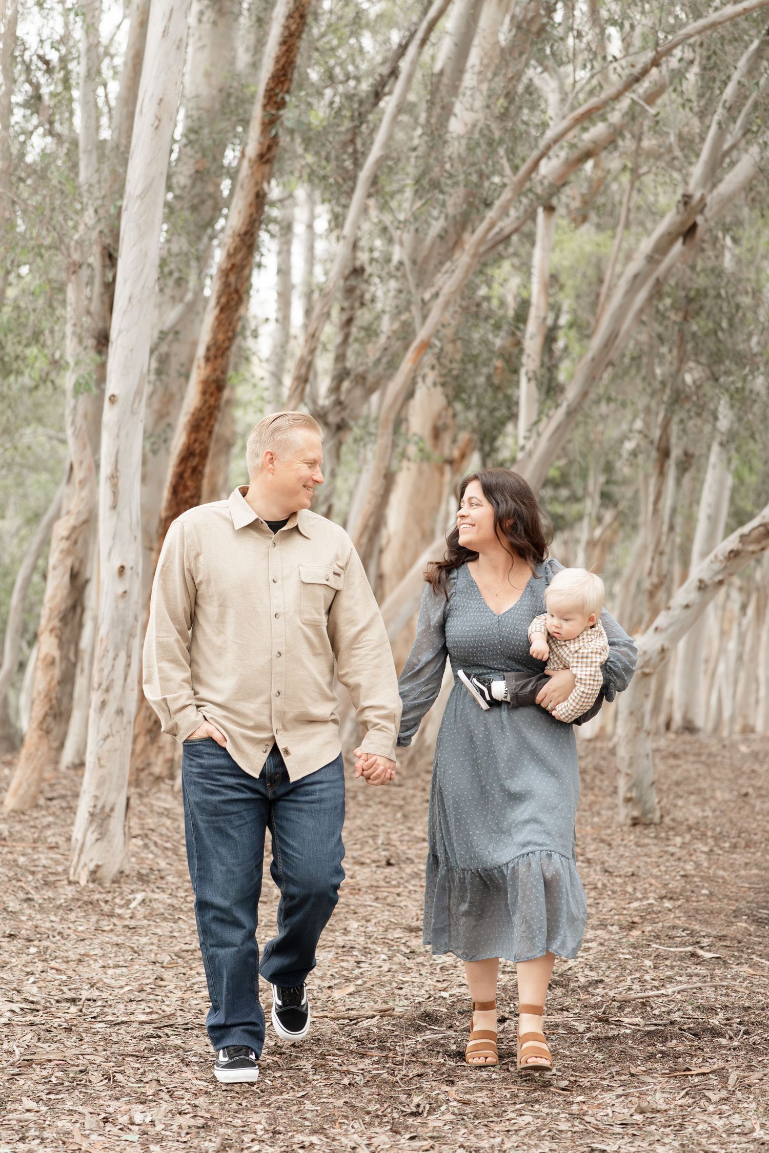 A family walks through a eucalyptus forest, parents holding hands while mother carries their infant baby.