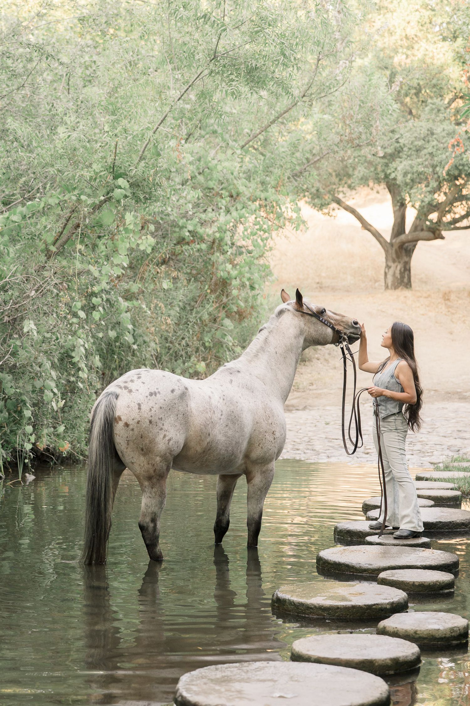 Woman standing on stepping stones in a creek, gently touching a white Appaloosa horse surrounded by lush green trees.