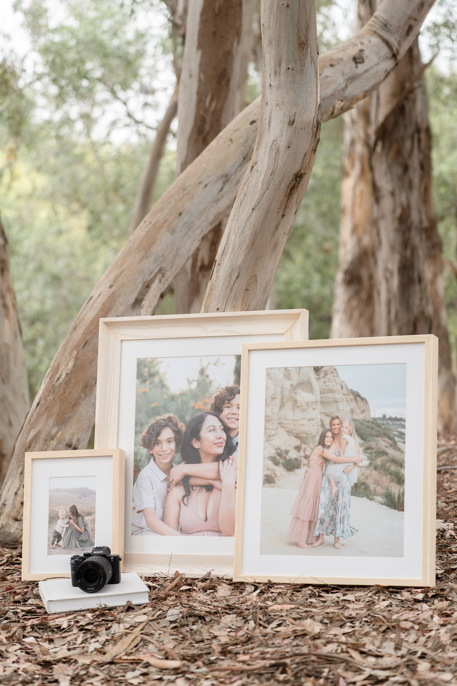 Framed family portrait photos displayed outdoors against eucalyptus trees with a camera, showcasing professional photography prints.