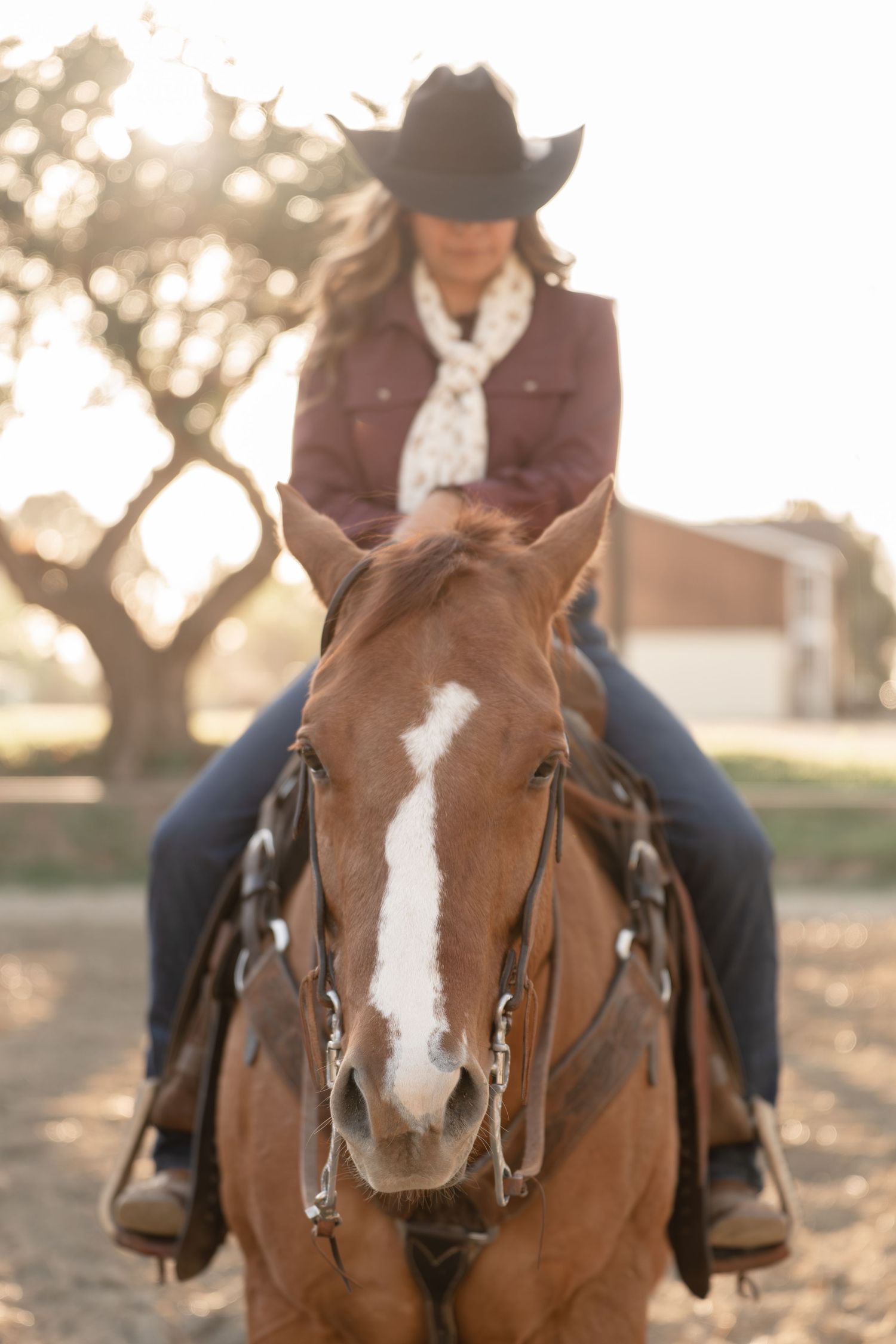 Woman in cowboy hat riding a chestnut horse with white blaze in golden sunlight on a ranch.