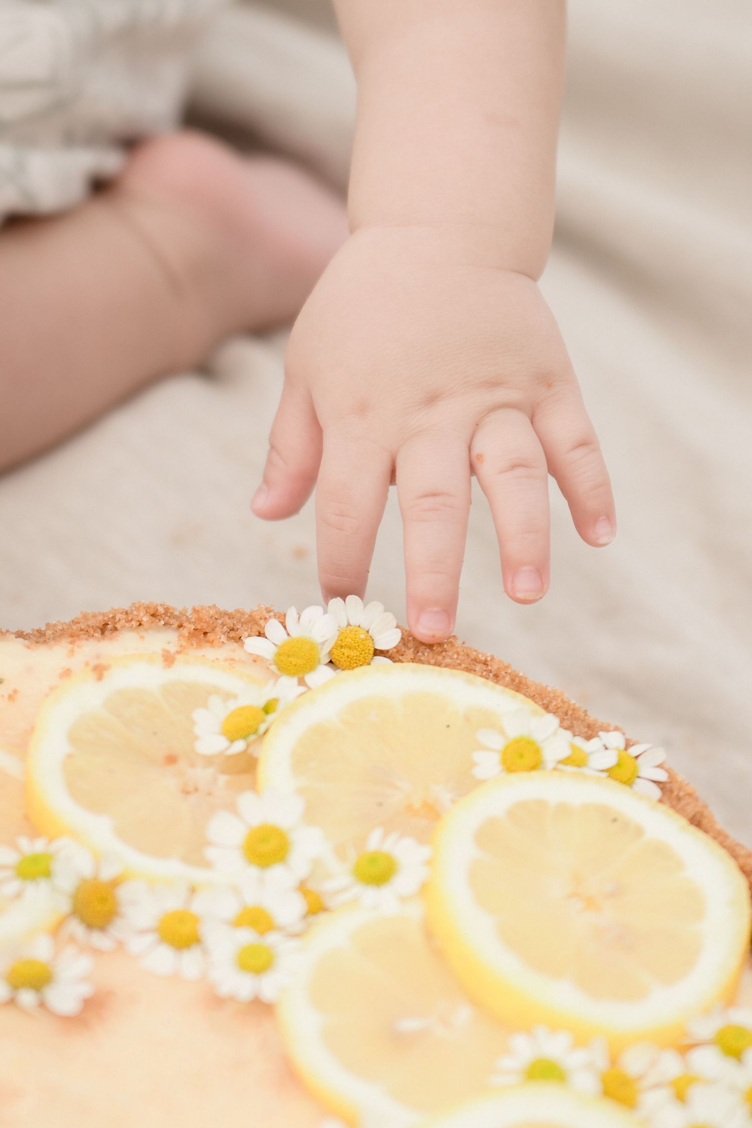 Baby hand reaching to touch a lemon tart decorated with chamomile flowers and lemon slices.