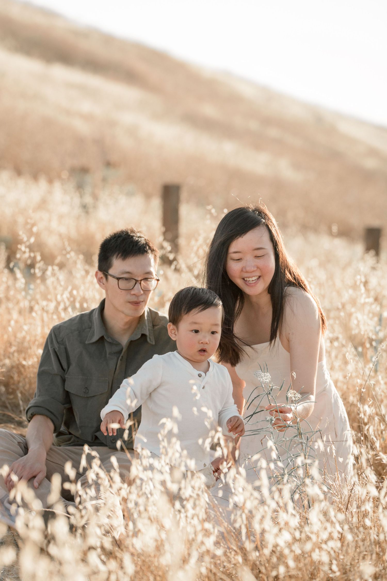 A happy Asian family with a baby sits in golden dry grass fields during a warm sunny outdoor photo session.