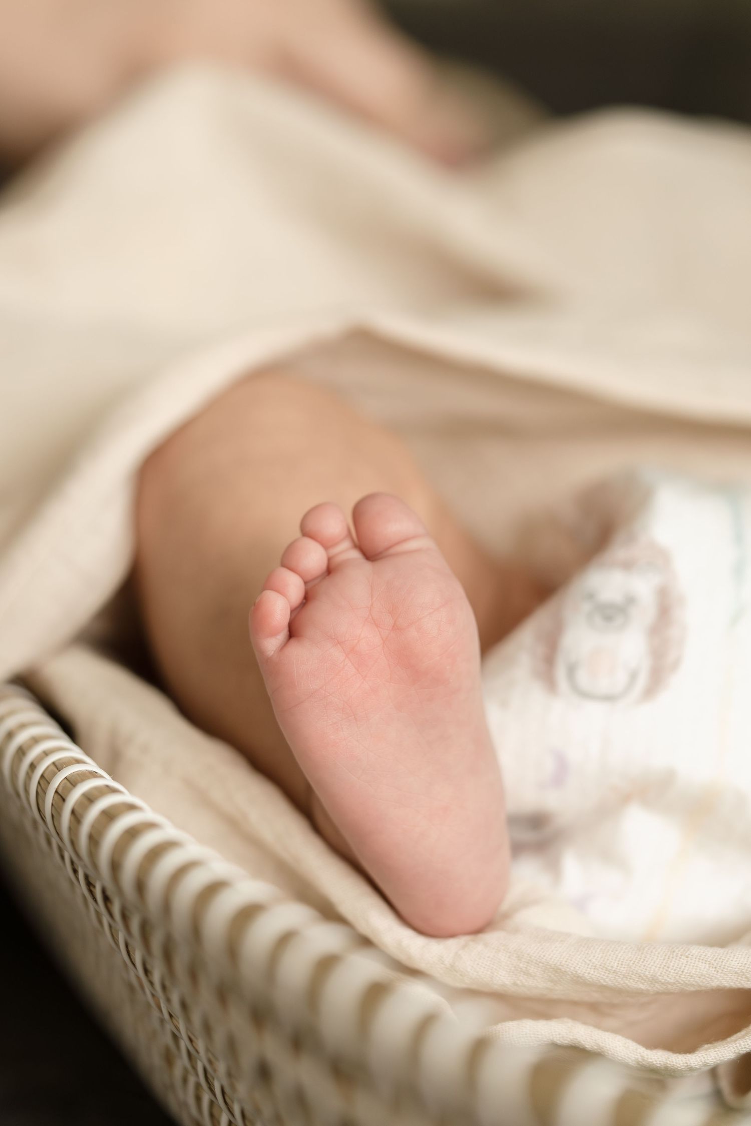 Close-up of tiny newborn baby feet peeking out from a soft cream blanket inside a wicker basket