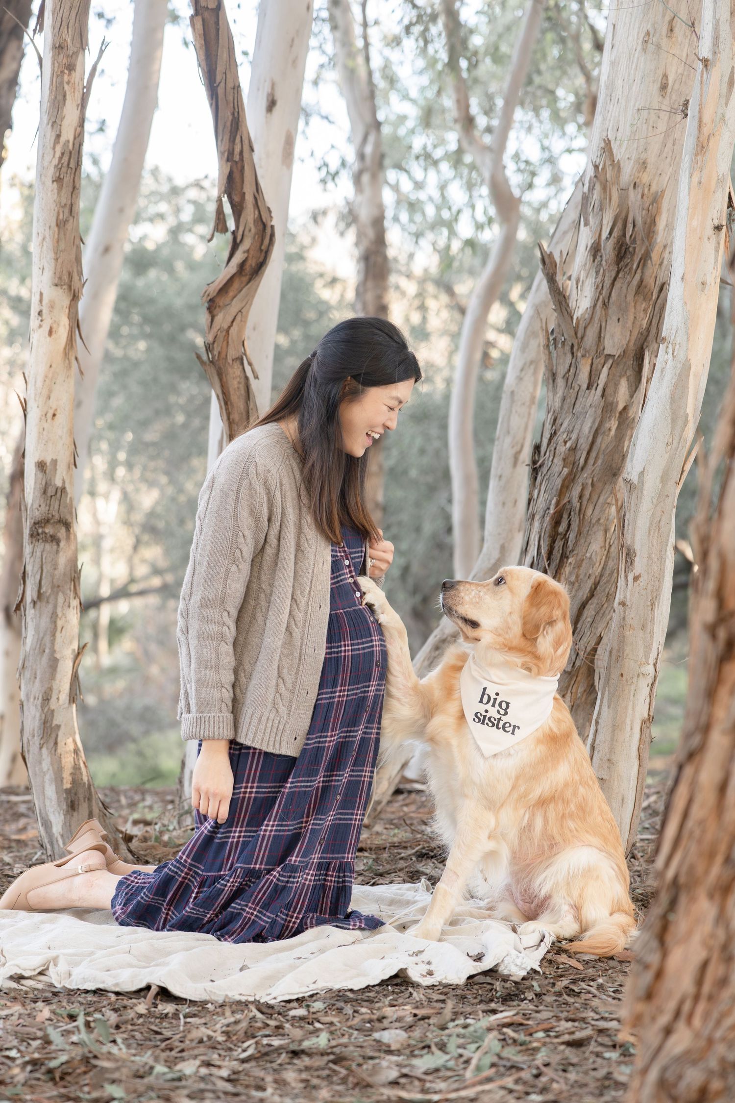 Pregnant woman sitting with Golden Retriever wearing a big sister bandana in a eucalyptus forest.