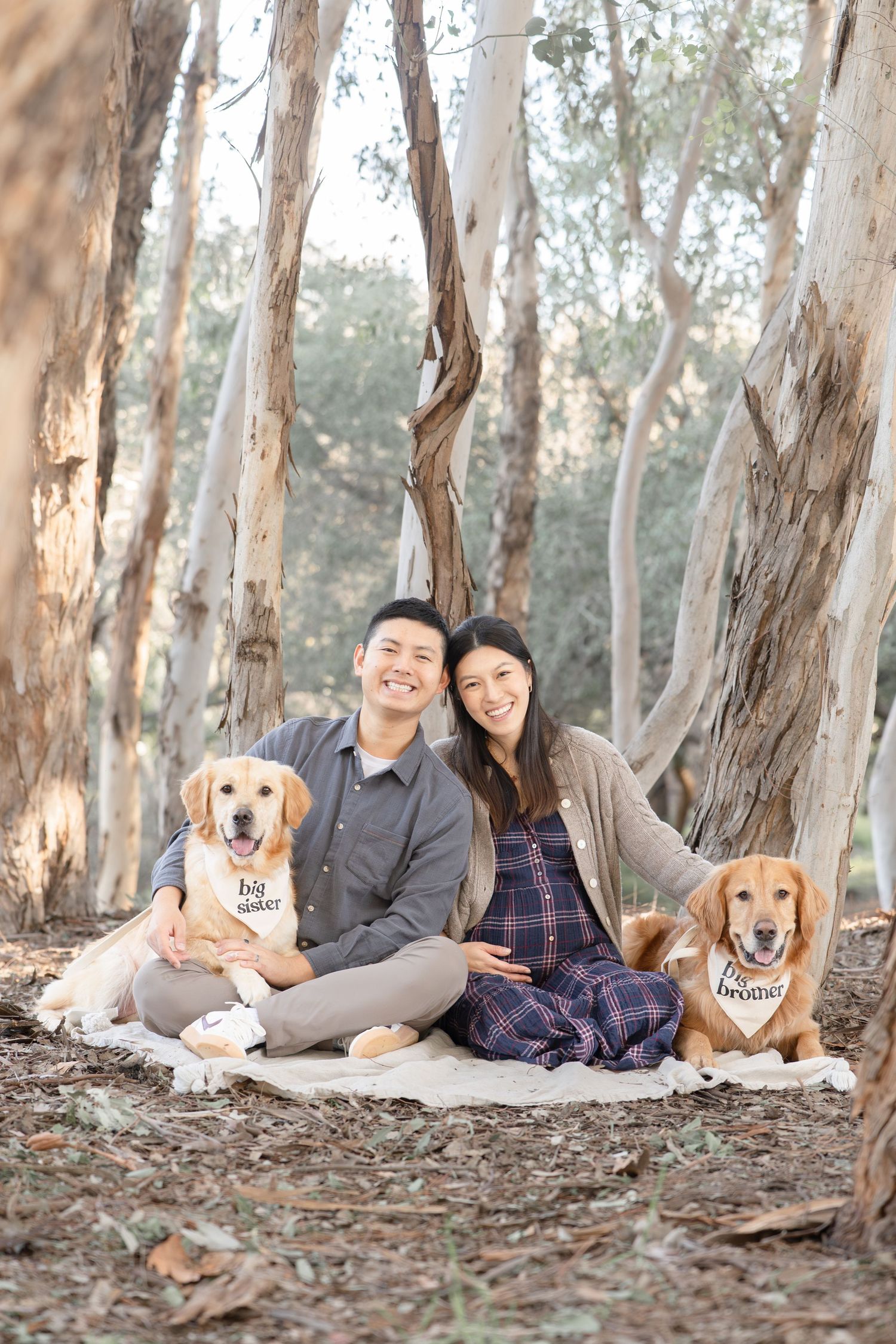 A smiling couple sits with two golden retrievers wearing big sister and big brother bandanas in a wooded area.
