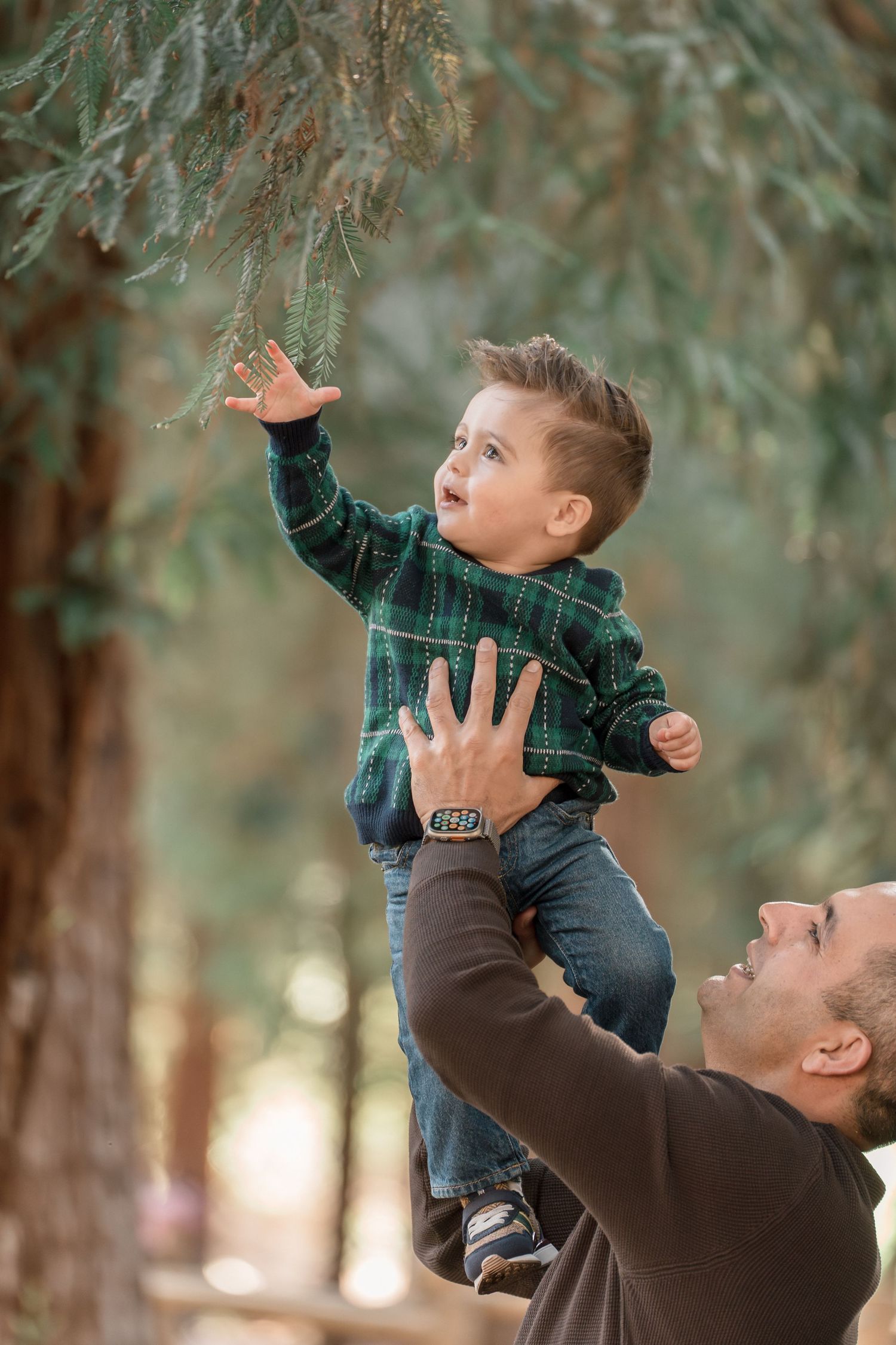 Father lifts toddler boy in plaid shirt toward pine tree branches in forest setting.