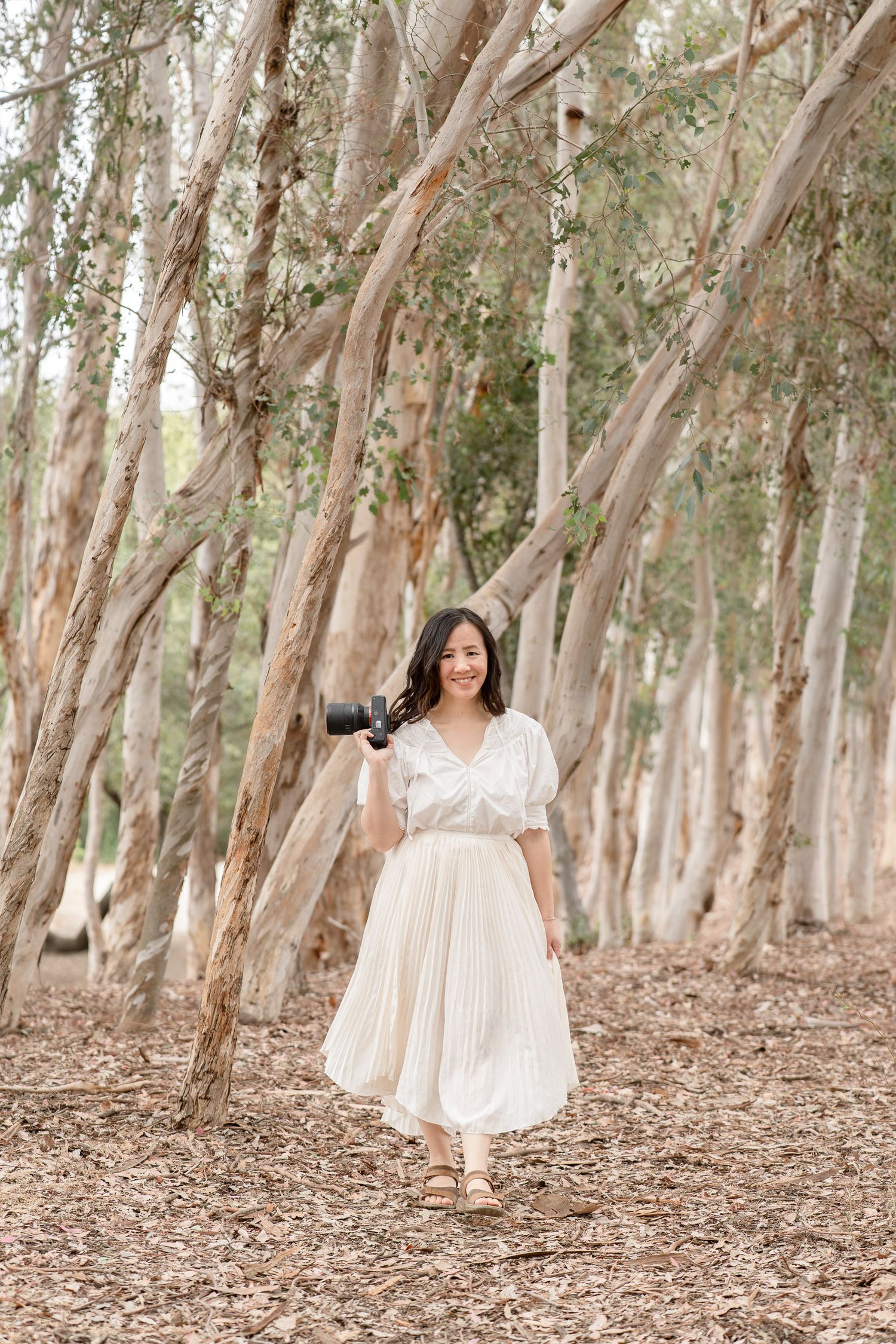 Woman in cream outfit holding camera walks among tall eucalyptus trees on a sunny day.