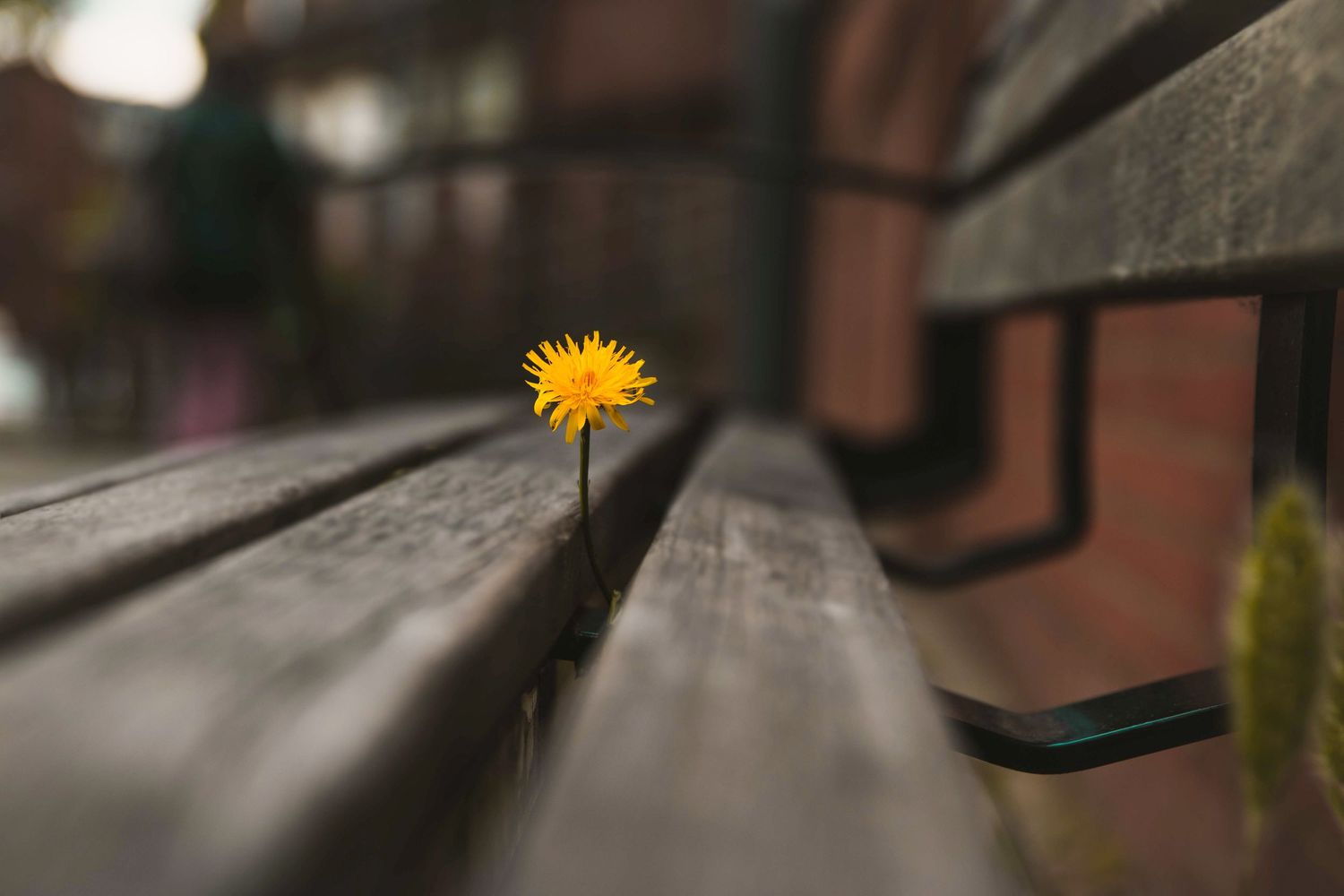 Street Photography