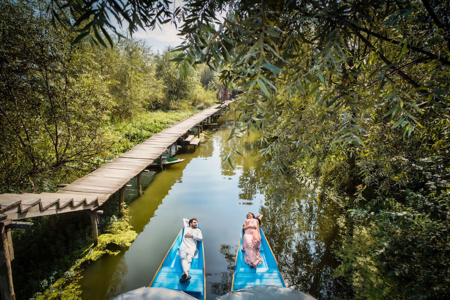Wooden boardwalk winding through green trees alongside tranquil water.