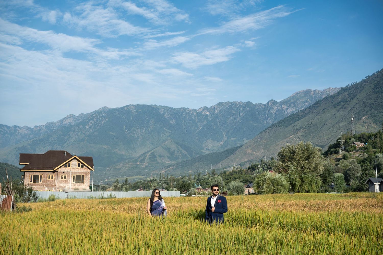 Rural mountain landscape with golden wheat fields and snow-capped peaks in the background.