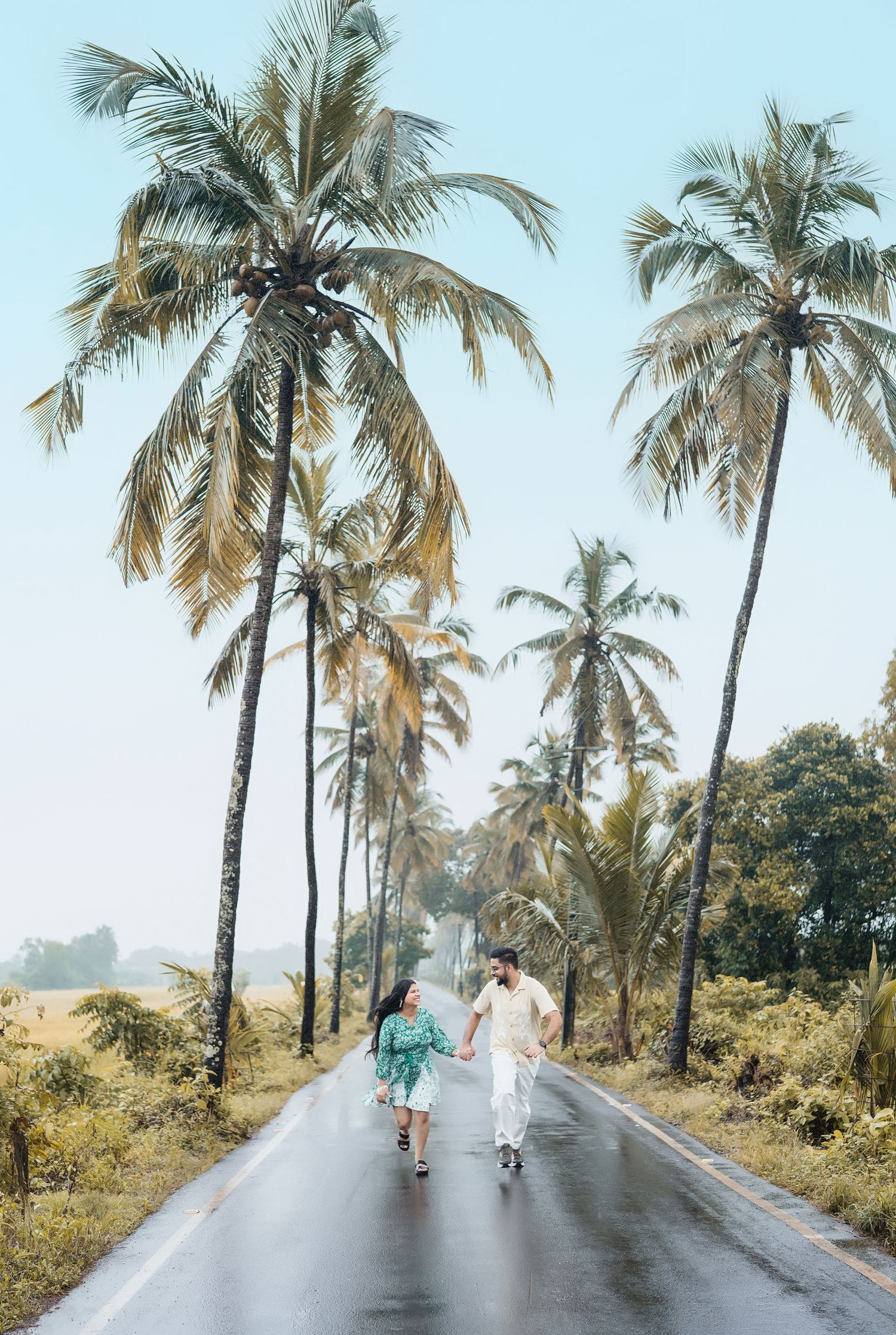 Palm tree lined road on a misty morning creating a dreamy tropical atmosphere.