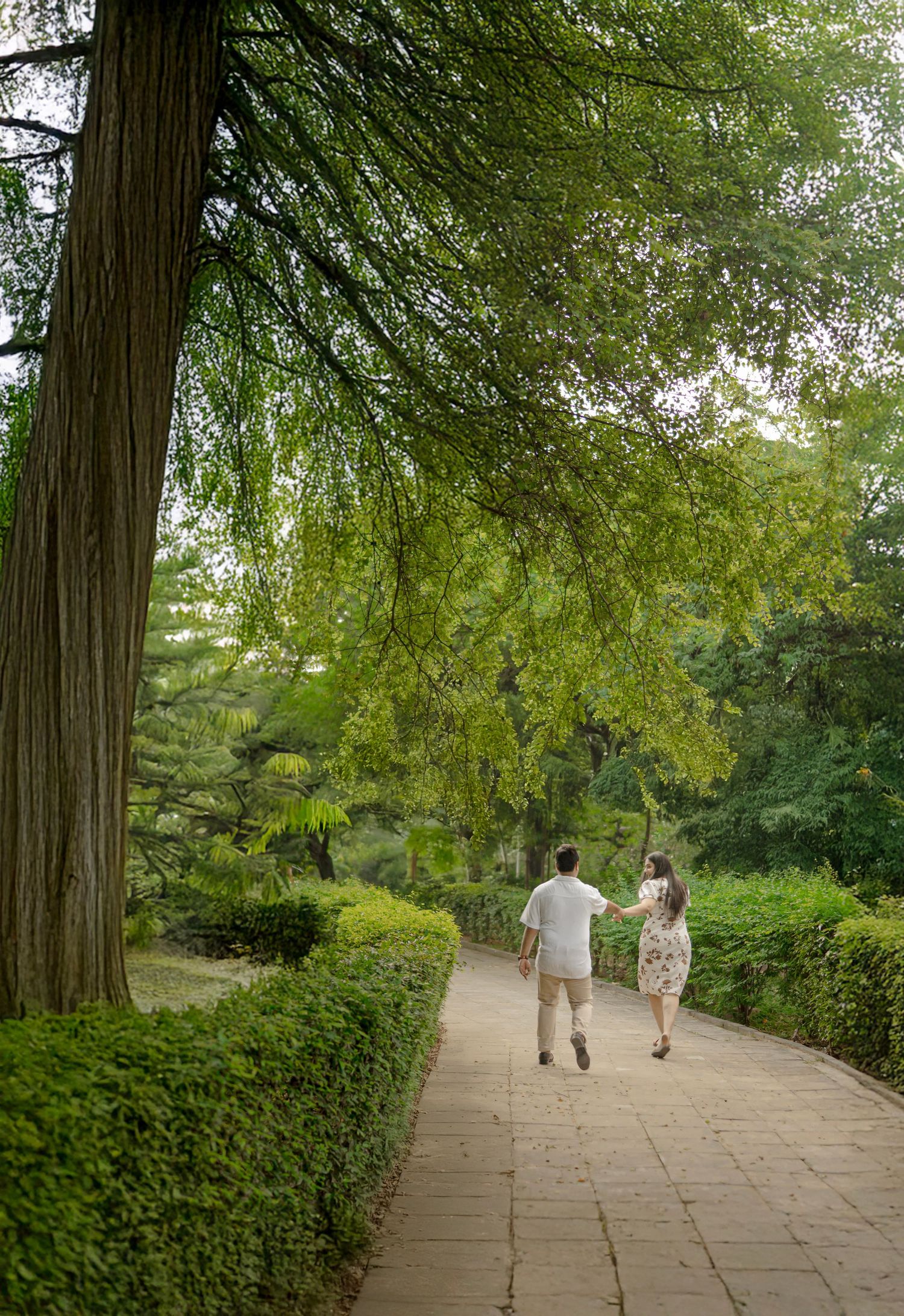 Couple holding hands walking along a lush green garden path lined with tall trees and manicured hedges.