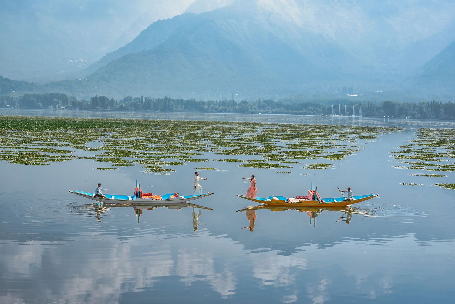 Locals rowing traditional wooden boats on a serene mountain lake with lush aquatic plants in misty Kashmir, India.