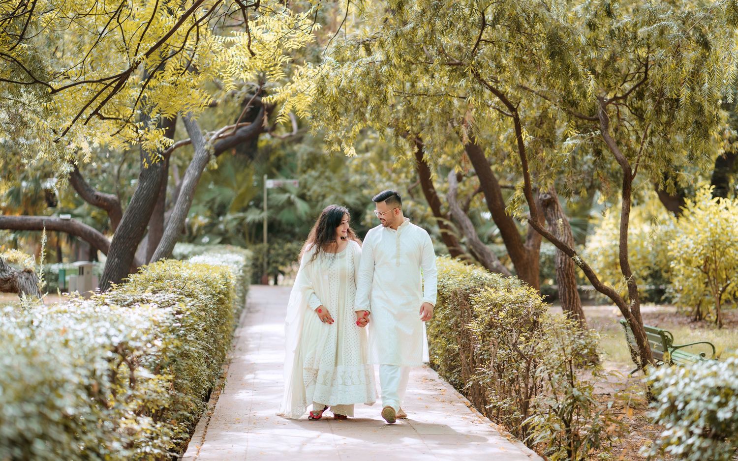 Tree-lined pathway through a lush garden with dappled sunlight filtering through branches.