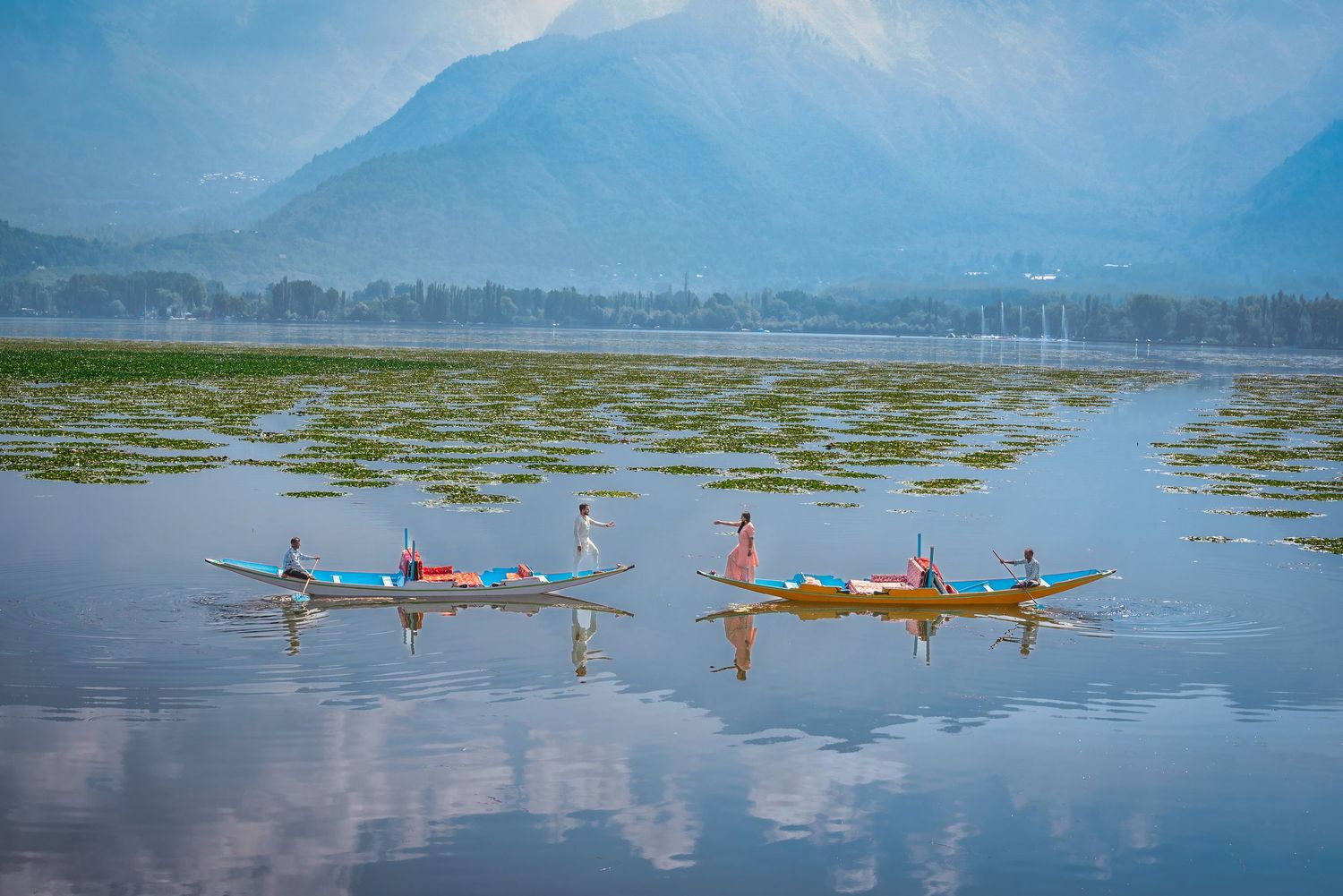 Colorful wooden boats glide across a serene mountain lake with lush aquatic plants and misty peaks reflected in calm waters.