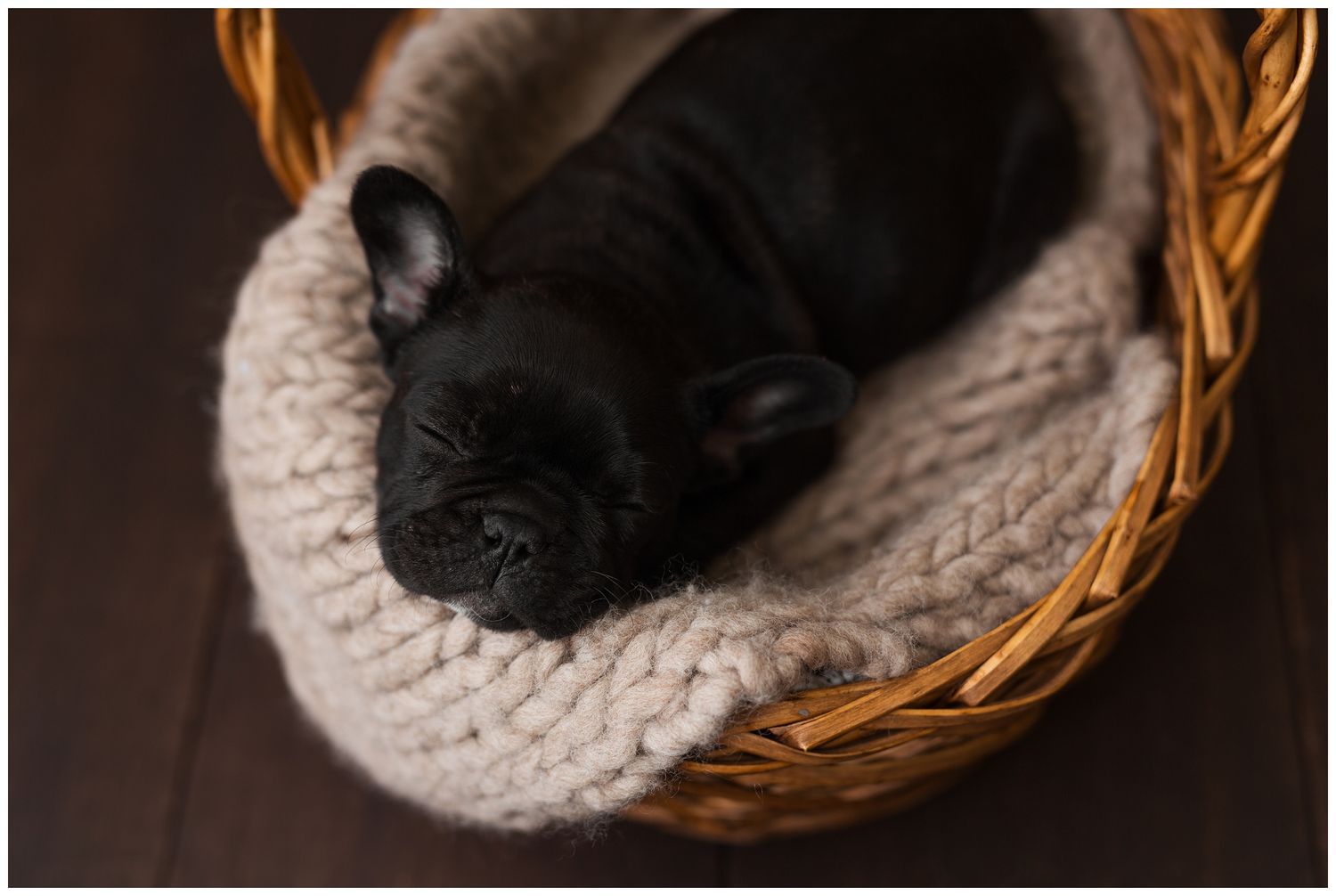 Small black puppy sleeping soundly in a cozy woven basket with white blanket.