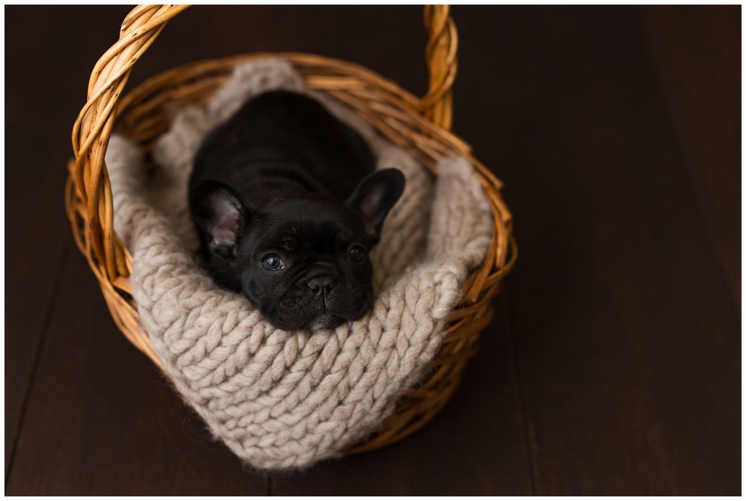 A black cat curled up inside a cozy knitted basket bed viewed from multiple angles.