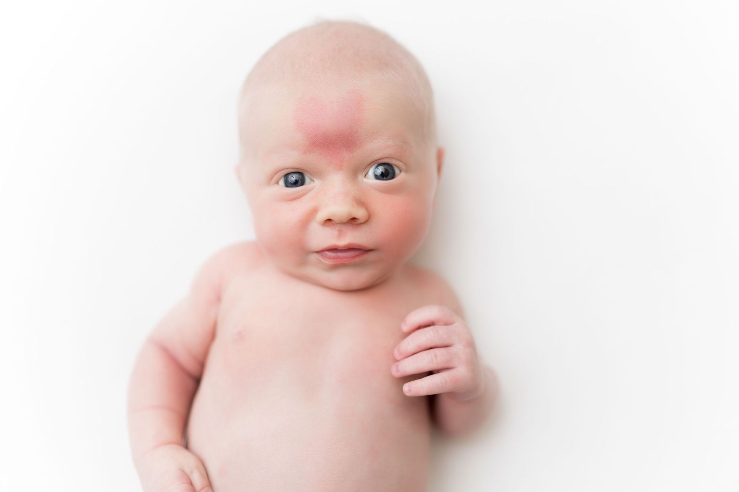 Newborn baby laying on white background in minimalist portrait style.