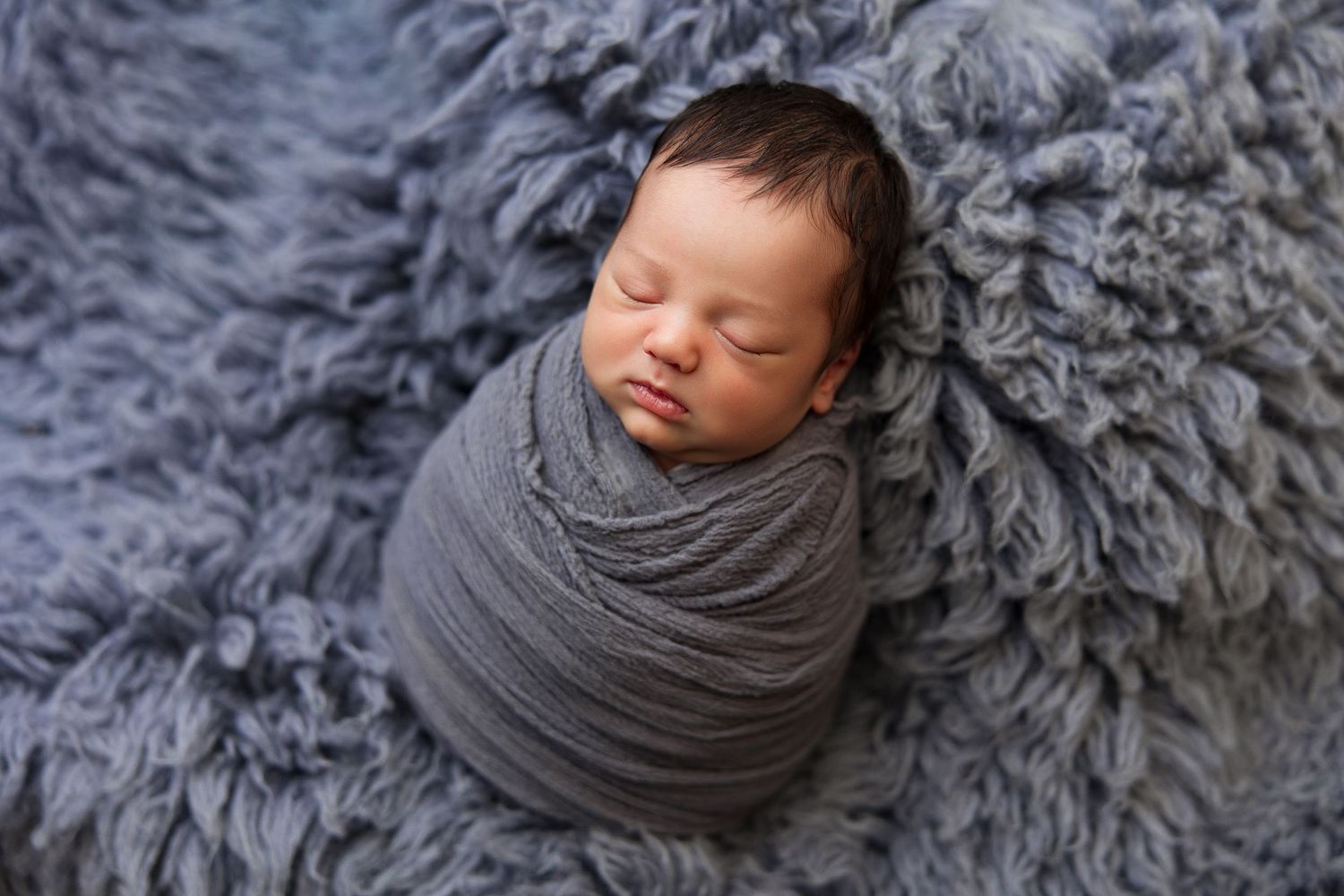 Collection of newborn portraits on fluffy grey textile backdrop with wrapped swaddle.