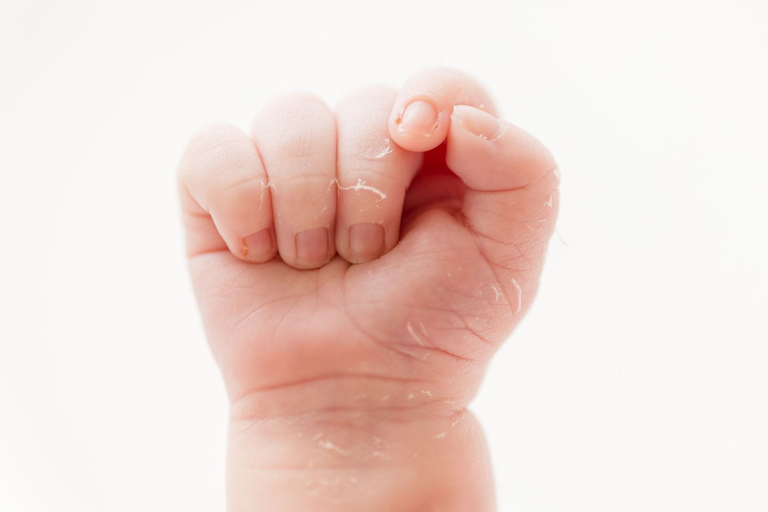 Three tiny clenched baby fists against a white background showing newborn reflexes and movements.