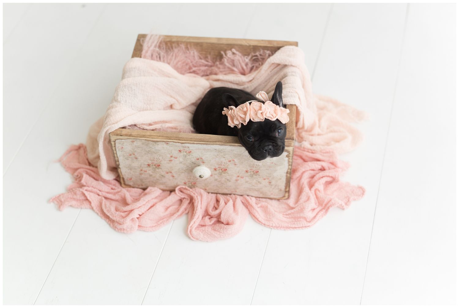 Delicate pink fabric with decorative elements creates an ethereal newborn photography setup.