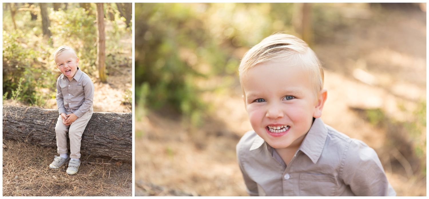 Family portrait session in a natural outdoor setting with warm golden sunlight filtering through trees.