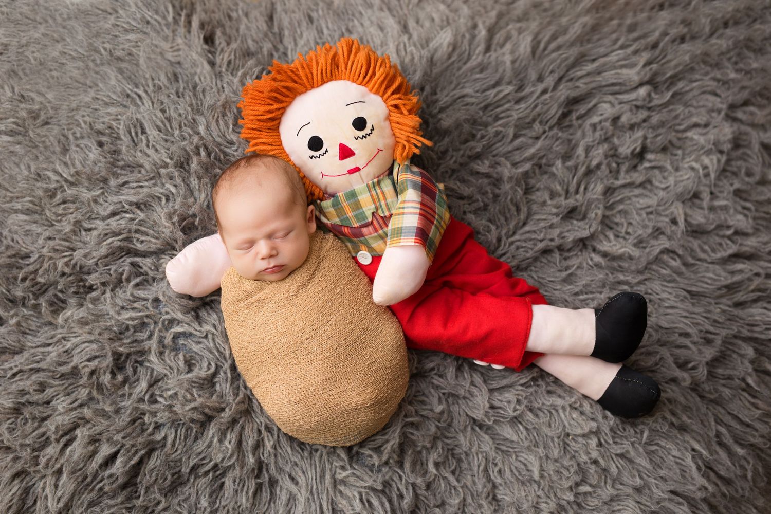 A collection of plush toys and dolls arranged on a soft gray textured carpet background.