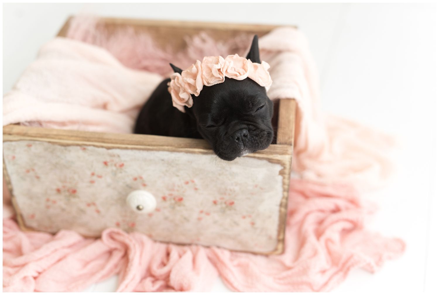 A small black kitten lies sleeping on soft pink floral bedding with a wooden headboard visible in the background.