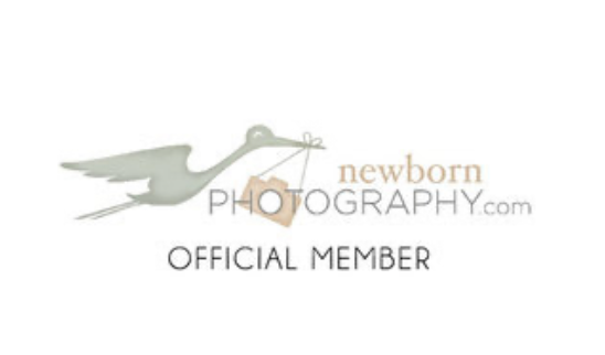 Professional newborn photography member certification badges displayed in a row.