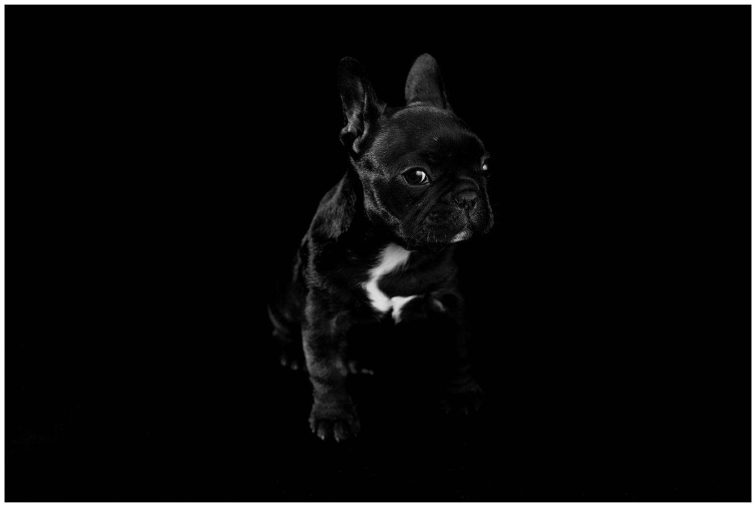 A series of dark black and white abstract photographs with grainy textures and shadowy forms.