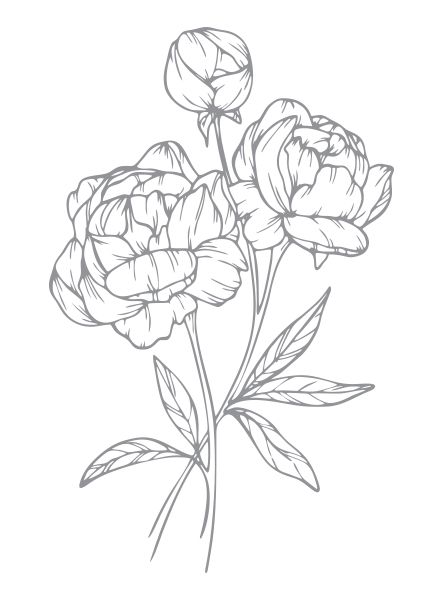 Simple pencil sketch of three peony flowers with stems and leaves in a delicate line art style.