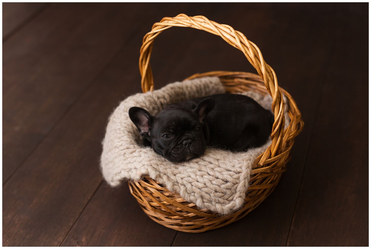 A tiny black kitten sleeping in a wicker basket lined with a knitted white blanket on a dark wooden surface.