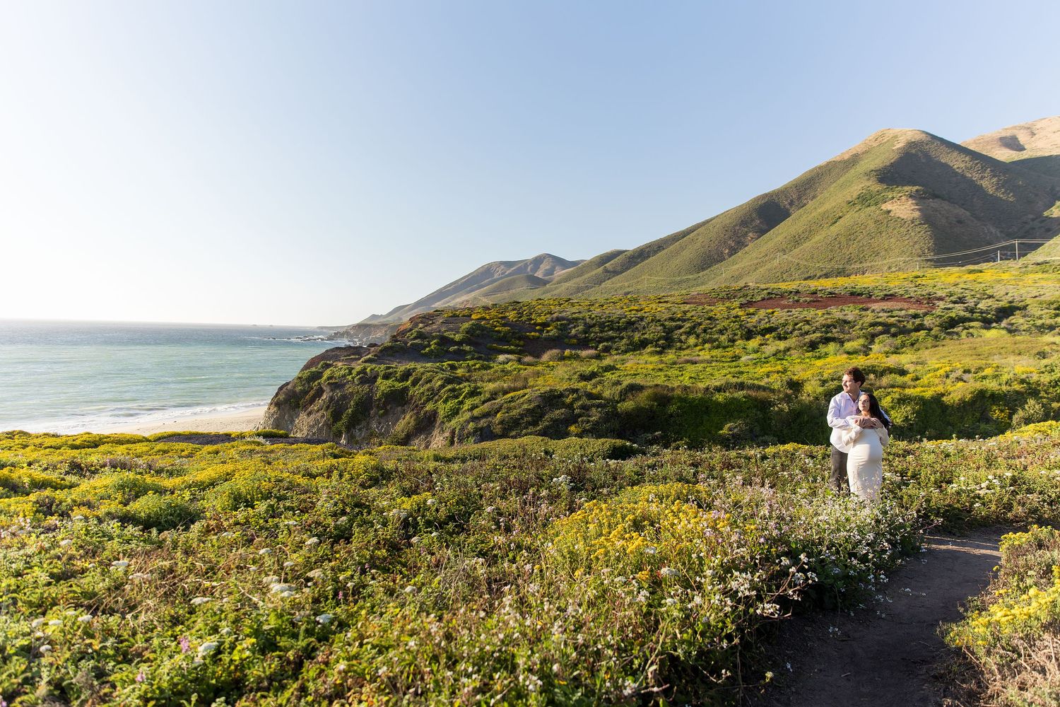 Scenic coastal landscape with mountains and yellow wildflowers along a winding trail.