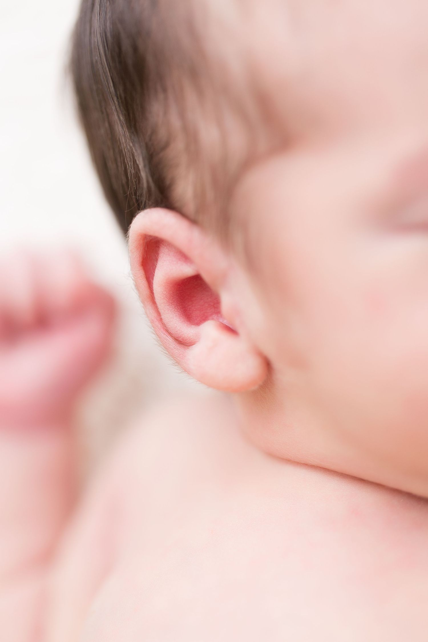 Close-up profile view of an ear showing soft pink skin tones and delicate anatomical details in natural lighting.