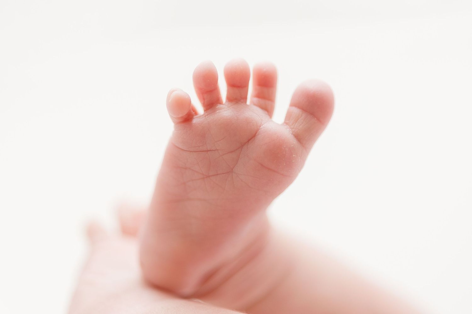 Close-up view of tiny baby feet with delicate toes against a soft white background.