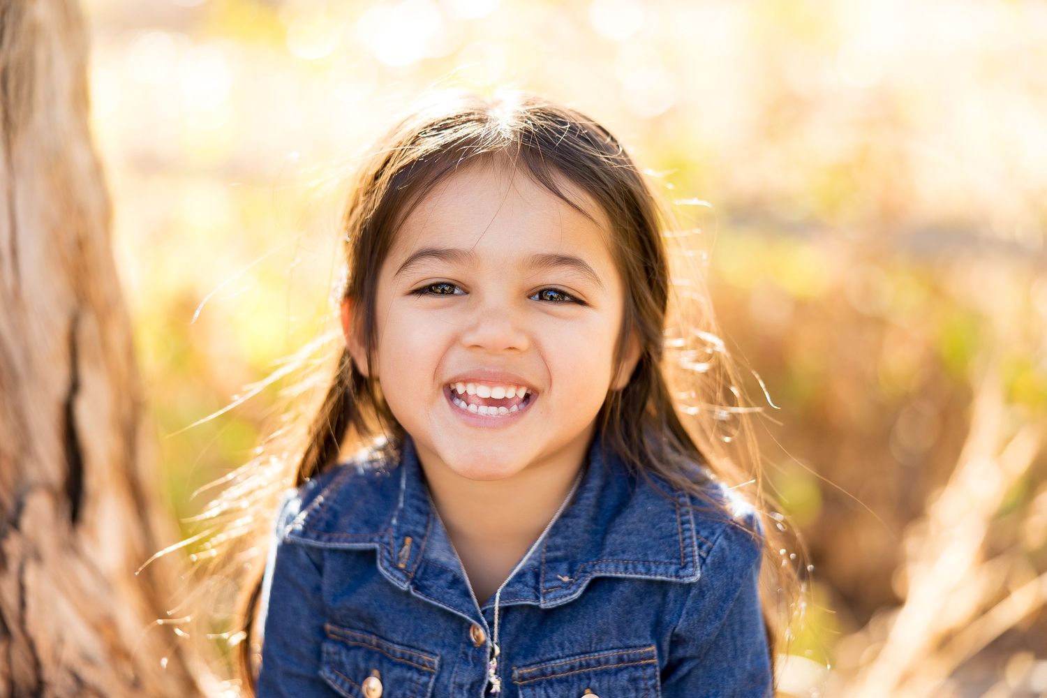 A cheerful portrait series against a golden sunlit background with natural fall foliage.
