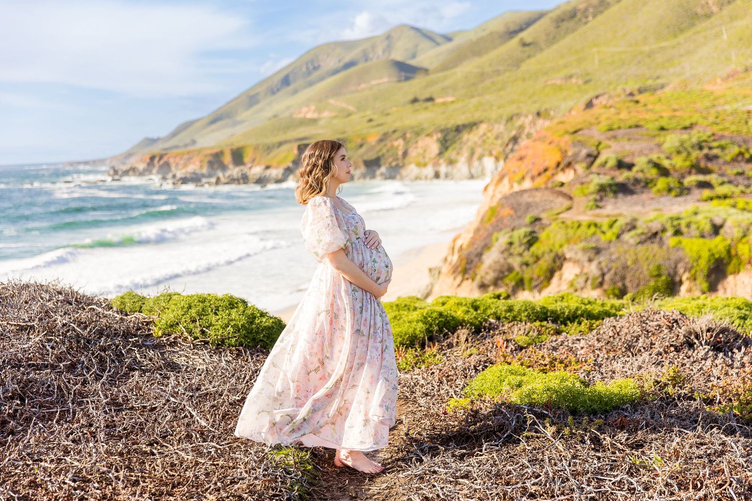 Scenic Big Sur coastline with mountains and rocky beaches.
