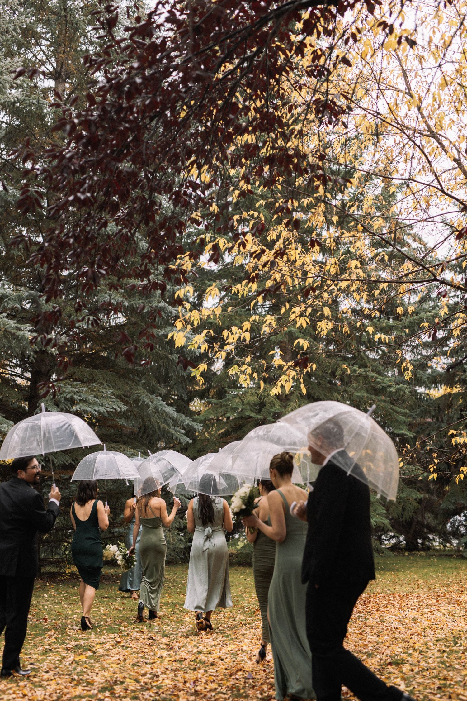 bridal party in park