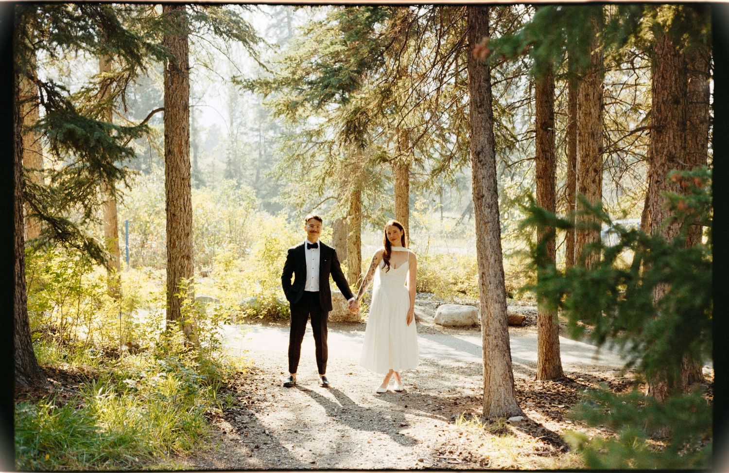 A romantic wedding photoshoot sequence in a sunlit forest with tall evergreen trees.