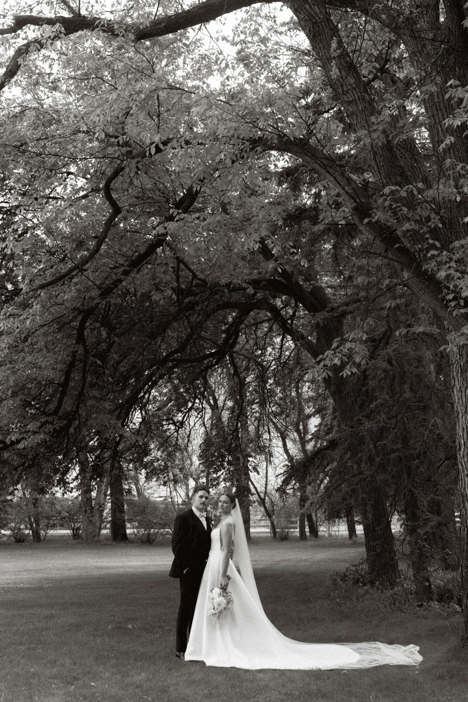 Black and white wedding portraits under dramatic tree canopy in a park setting.
