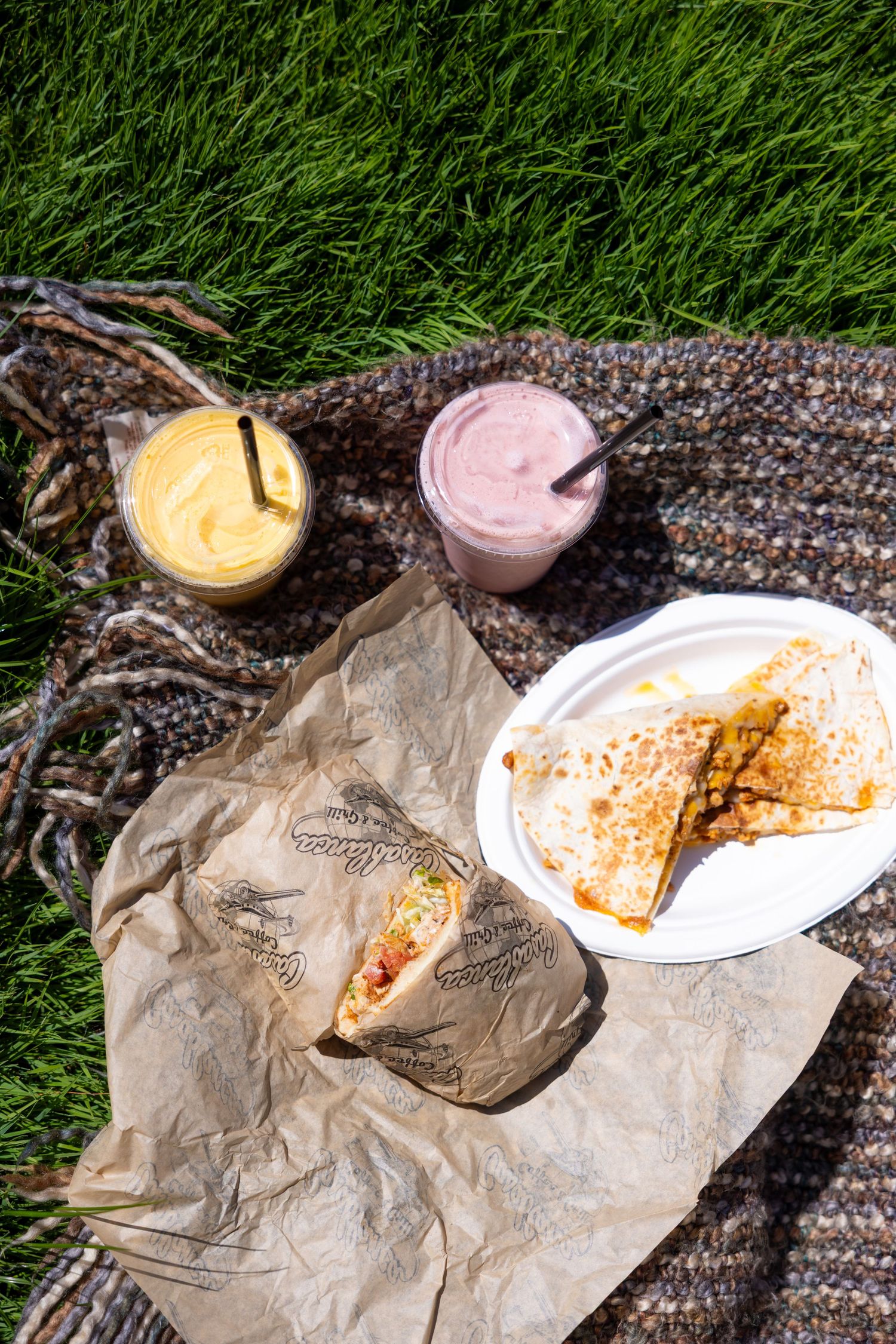 A sequence of photos showing leftover food and dipping sauces on paper plates against grass and textured fabric.