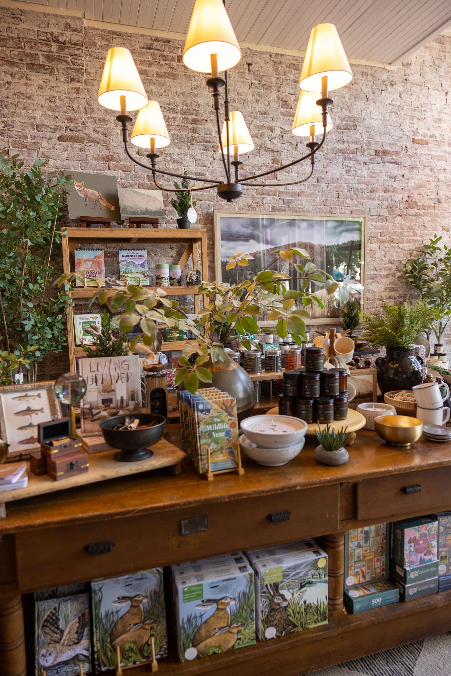 Rustic retail display with chandelier showcases home goods and plants on wooden shelving.