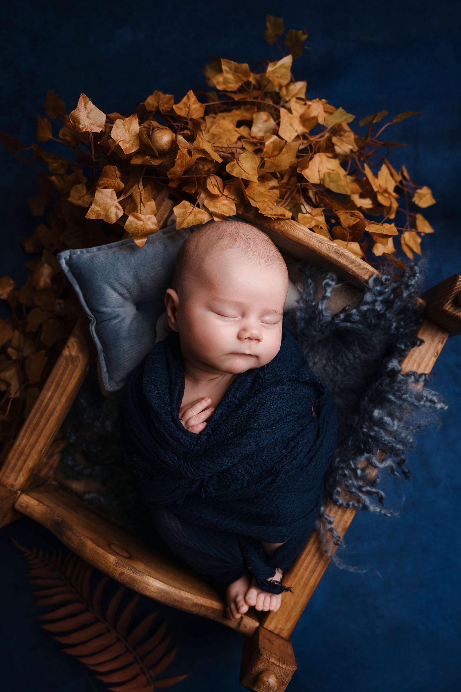 Sleeping newborn wrapped in navy blue in wooden crate with autumn leaves decor.