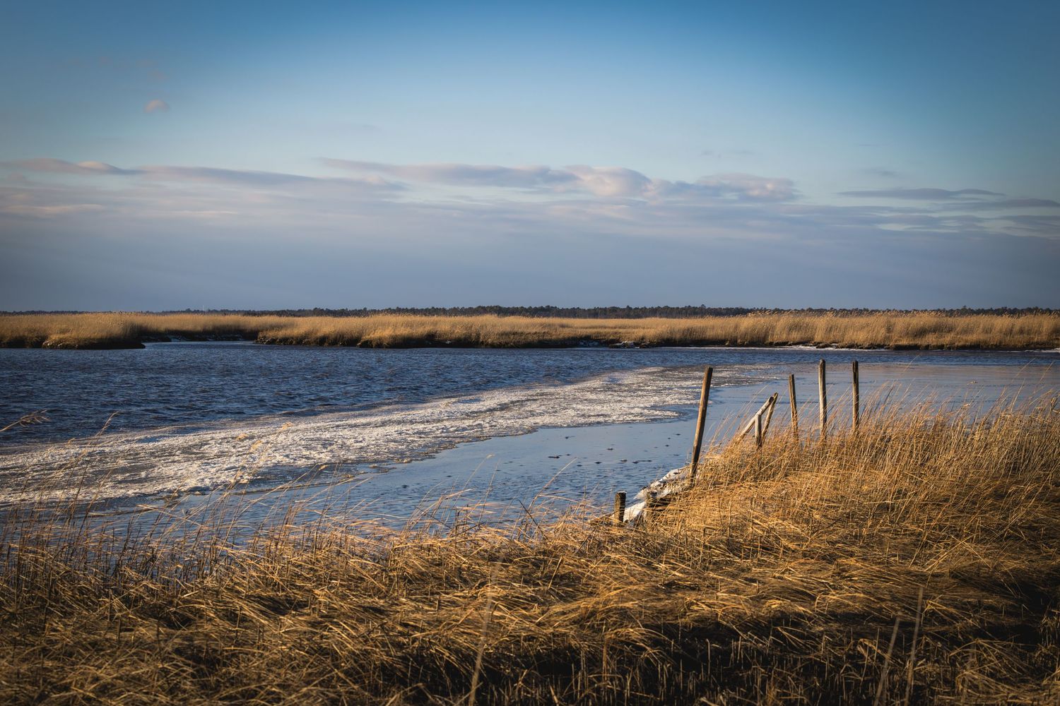 A serene coastal landscape with brown marsh grasses, wooden posts, and waves breaking along the shoreline under a blue sky.