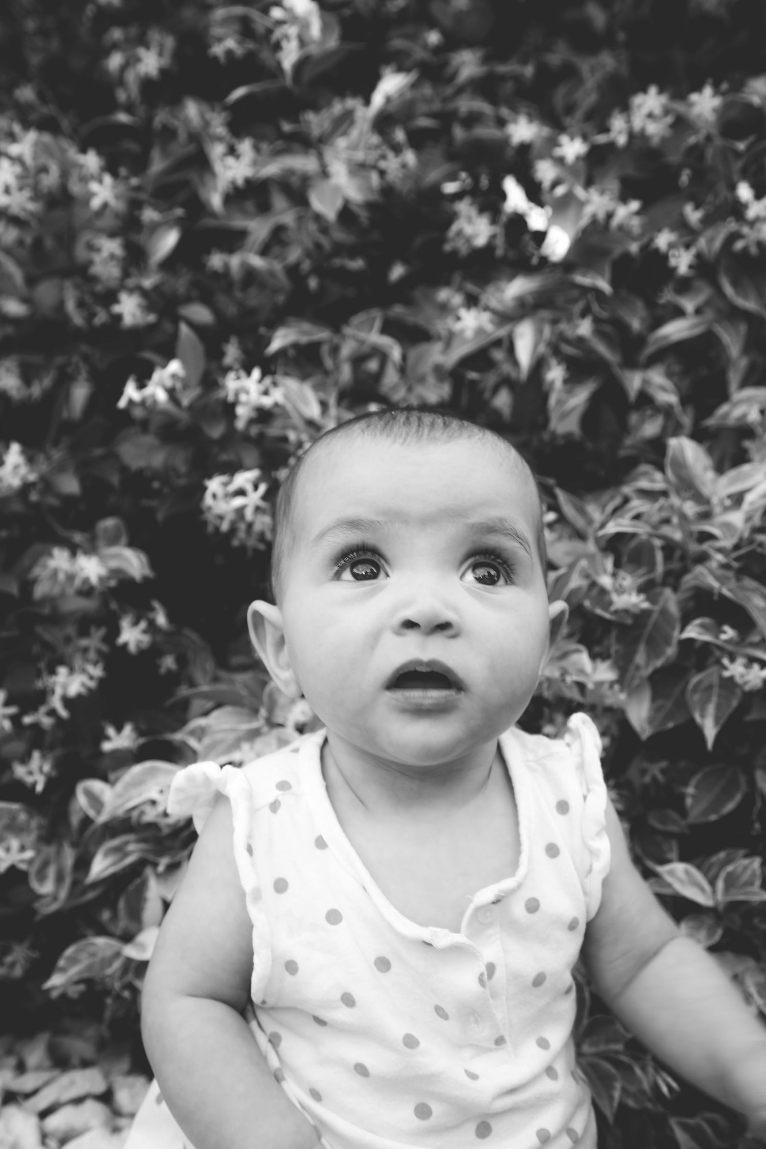 Black and white portrait of baby wearing polka dot tank top against flowering bush background.