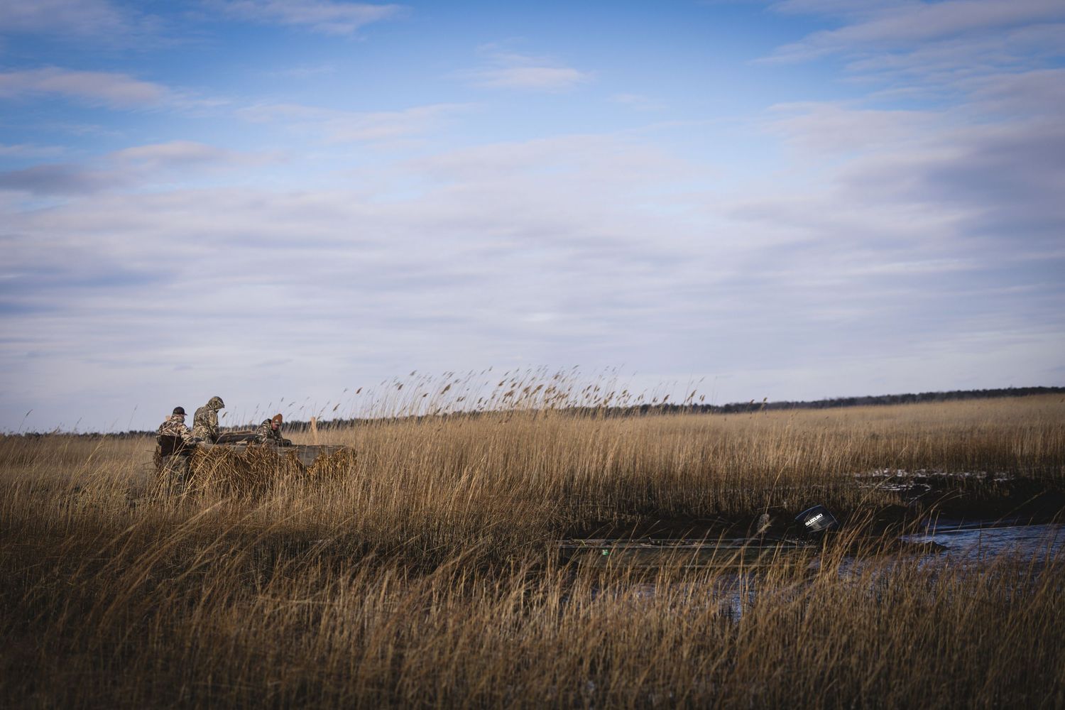 Panoramic view of golden prairie grasslands stretching to the horizon under a blue cloudy sky.