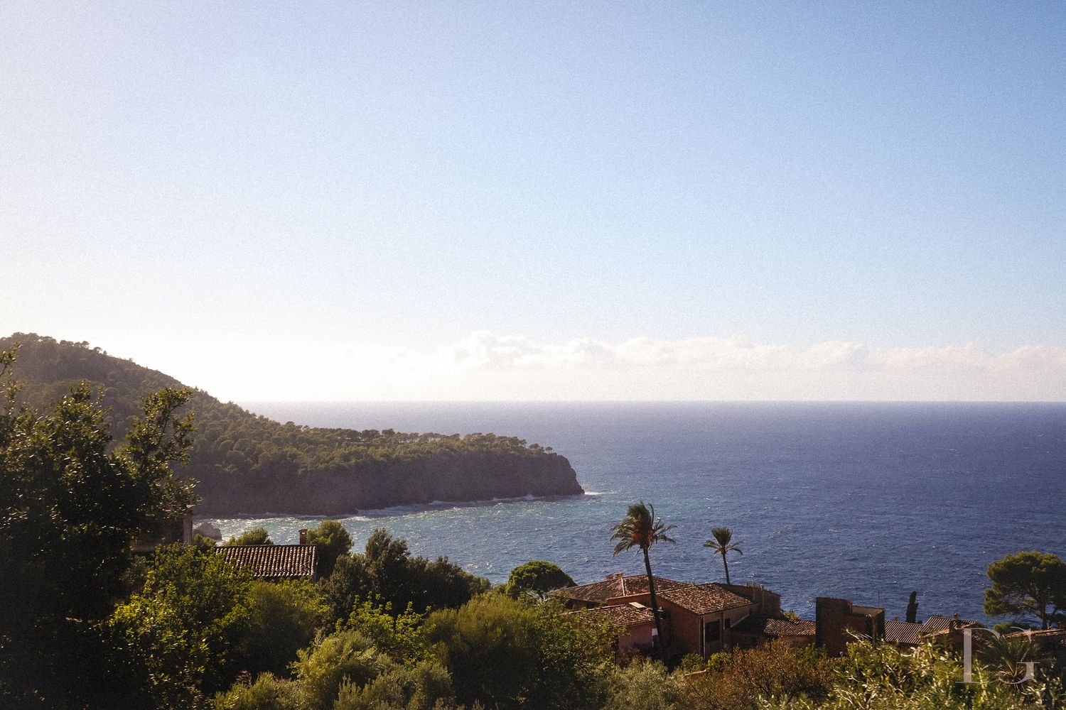 Scenic coastal landscape with palm trees and hills overlooking the blue Mediterranean Sea on a clear sunny day.