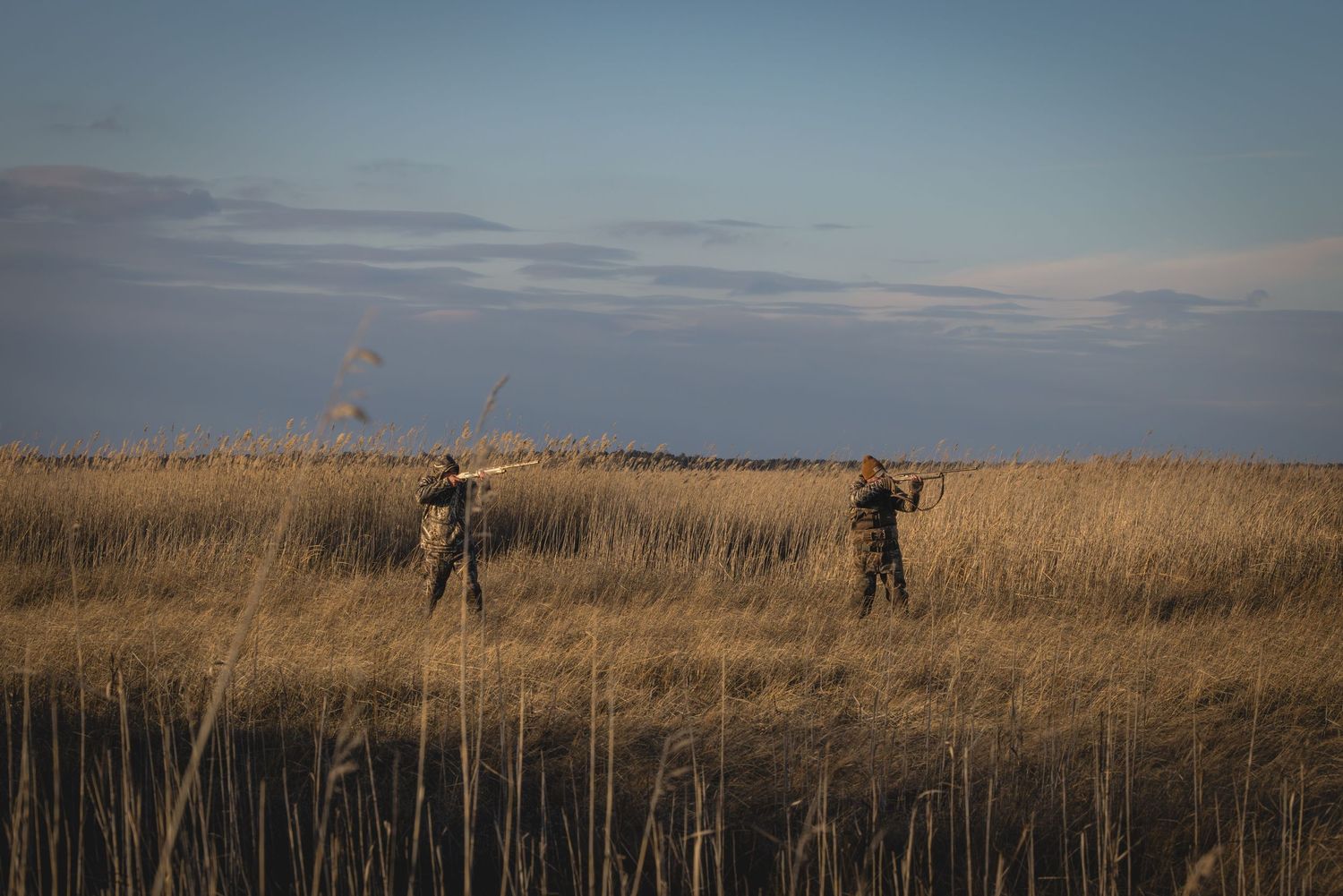 Hunters in camouflage gear walking through tall golden grass in an open field during sunset.
